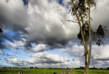 争议判罚！巴塞罗那0-0战平格拉斯哥流浪者