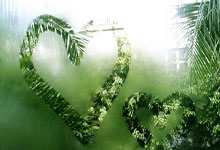 曼联主场逆转莱斯特城，豪取三分