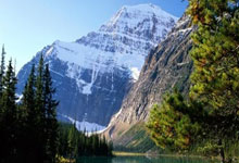 瓦伦西亚在欧冠比赛中力挫对手，晋级