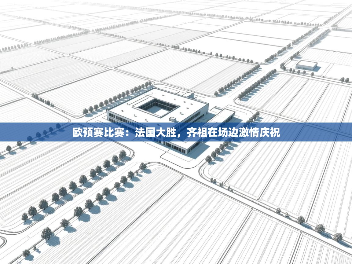 欧预赛比赛:法国大胜,齐祖在场边激情庆祝 第2张