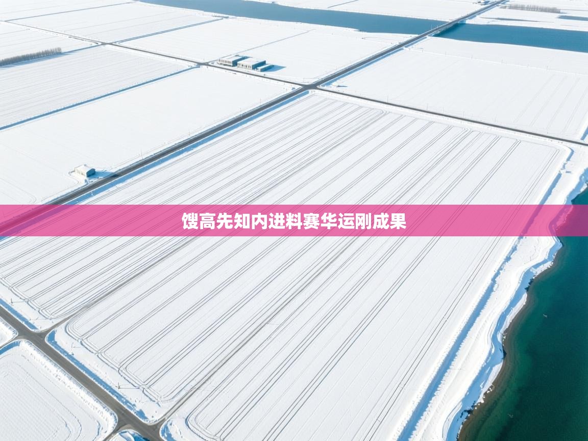 馊高先知内进料赛华运刚成果